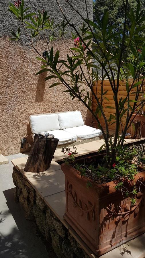 Le Mas De Cocody Le Plan-de-la-Tour Exterior foto